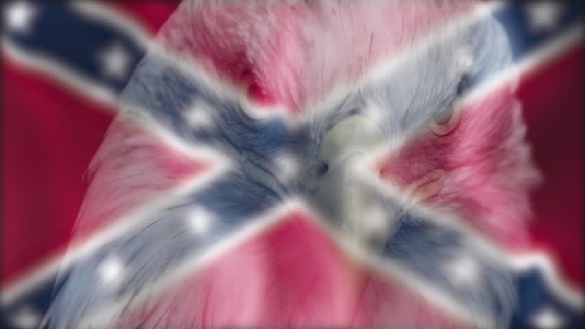 Bald Eagle on Confederate Flag United States