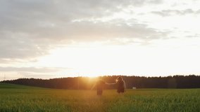 Beautiful back view of young couple walking in field at sunset. They move away from camera, hold hands. Slow mo