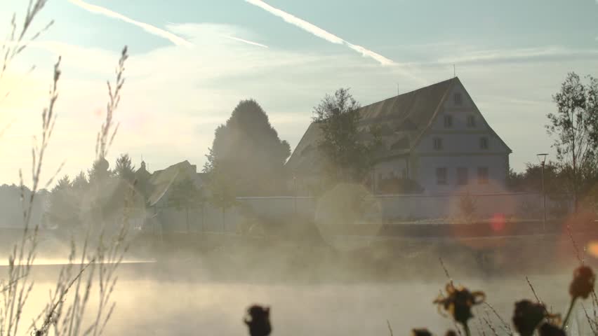 Mysti Morning