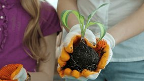Close-up of people passing each other a young plant, girl smiling happily