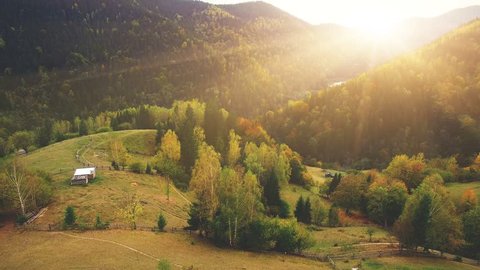 Aerial Drone Footage View: Flight over autumn mountain village with forests, fields and river in sunrise soft light. Carpathian Mountains, Ukraine, Europe. Majestic landscape. Beauty world. 4K