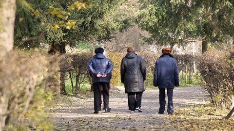 Group of senior people walking in park on a sunny autumn day, retirement