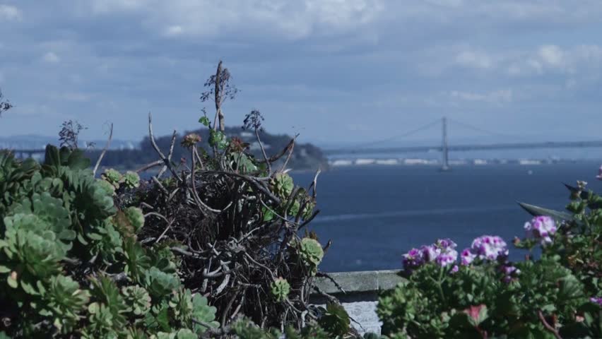 Standing on Alcatraz Island looking at San Francisco landscape