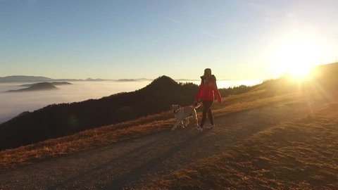 Taking dog for a walk, high above the valley of fog. Escape from the city
