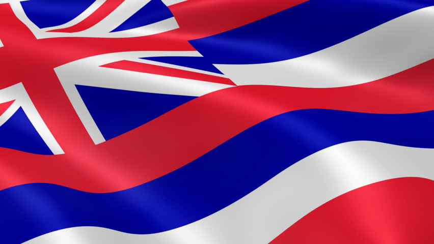 Hawaiian Flag in the Wind. Stock Footage Video (100% Royalty-free