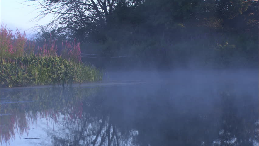Mist and fog over water