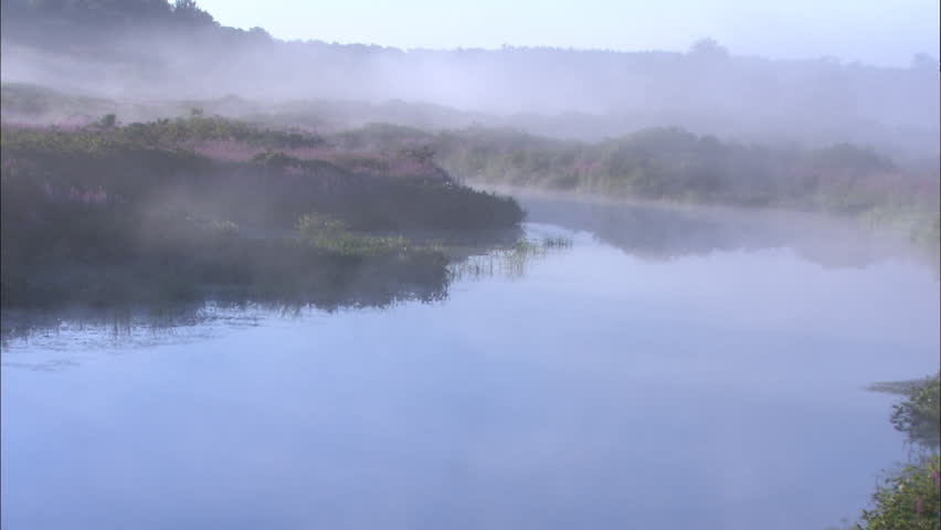 Fog and mist over stream