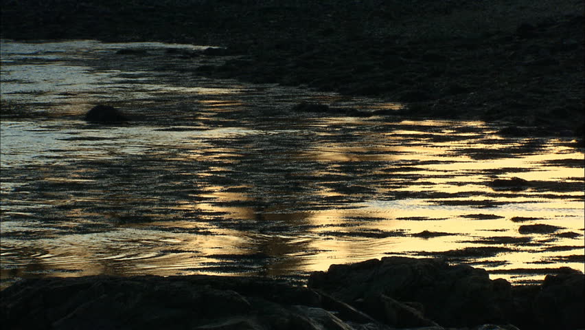 Rippling water reflecting light