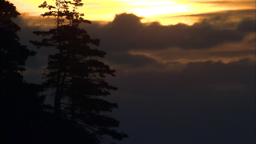 Nature sunset