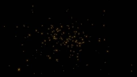 Swarm of Fireflies – with alpha channel for easy compositing into your own scenes.