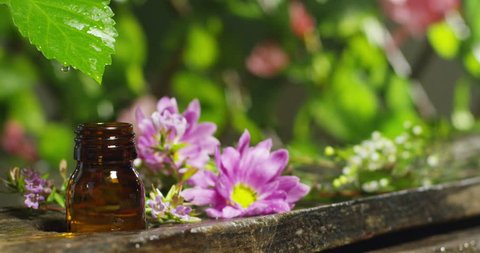 Cinemagraph Of Essential Oils With の動画素材 ロイヤリティフリー Shutterstock Cinemagraph Of Essential Oils With の動画素材 ロイヤリティフリー Shutterstock