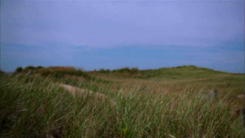Hilltop