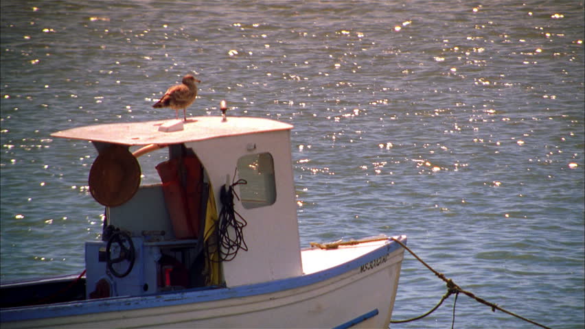 Small fishing boat with seagull