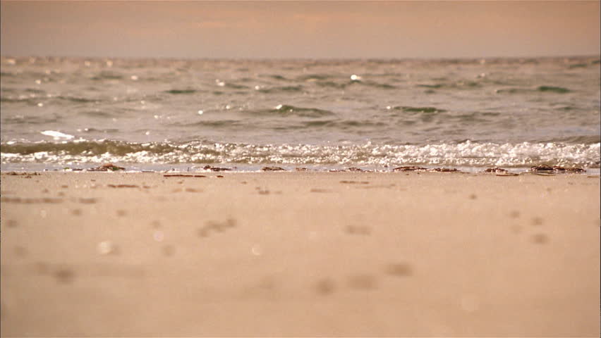 Waves and beach