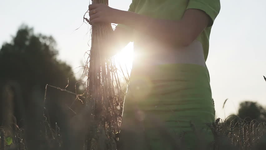 Girl brunette in a green dress with a bouquet of ears of wheat in field. She touches her hands ears. Wheat field in sunset.  The camera moves from the bottom up.