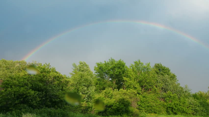 Rainbow over forest
