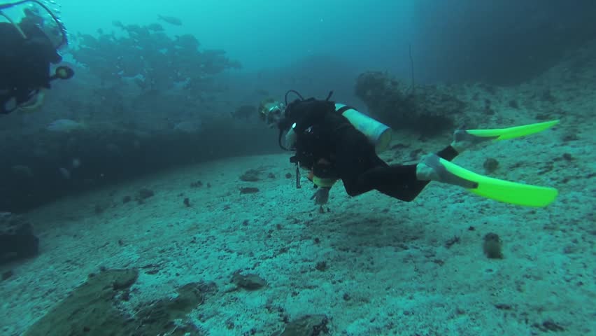 Divers swim underwater with aqualungs. Deepness. Fish. Animals. Sealife. Hobby. Scubadiving