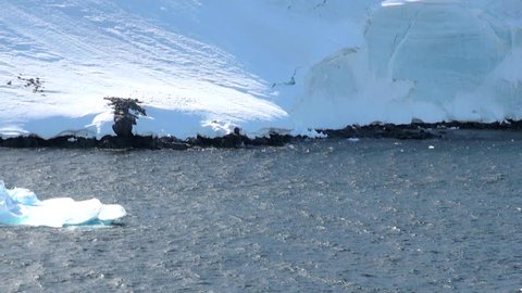 Cruising in Antarctica - Antarctic Peninsula - Palmer Archipelago - Neumayer Channel - Global warming - Fairytale landscape