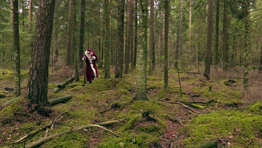 Santa Claus with gift bag in the forest | Shutterstock HD Video #21573403