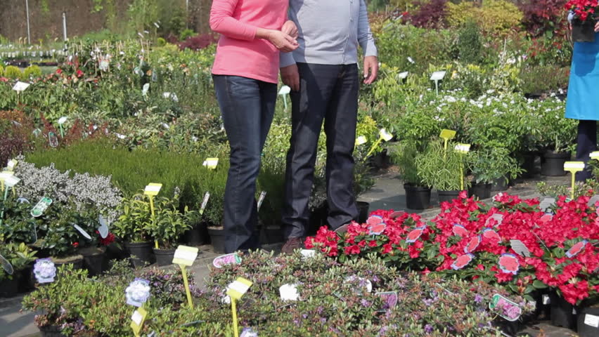 Female worker showing mature couple plant in garden center