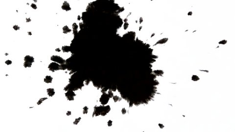 abstract isolated Drops of black ink paints with splashes drip falling on white paper surface organic flow close-up macro. Round drops of black ink liquid on a white background. Absorb blot stain