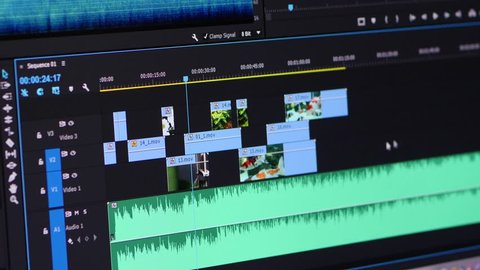 Video Editing Software Going Through The Timeline Frame By Frame Point Of View