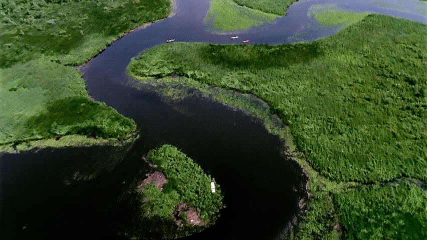 Aerial view of rivers and marshes