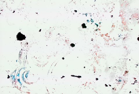 Film Damage White Back の動画素材 ロイヤリティフリー Shutterstock Film Damage White Back の動画素材 ロイヤリティフリー Shutterstock
