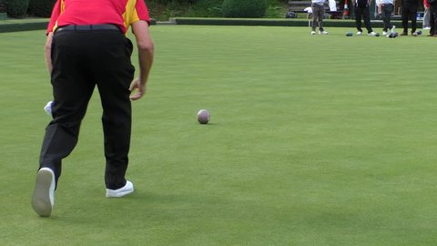 Group of seniors playing lawn bowls on bowling green