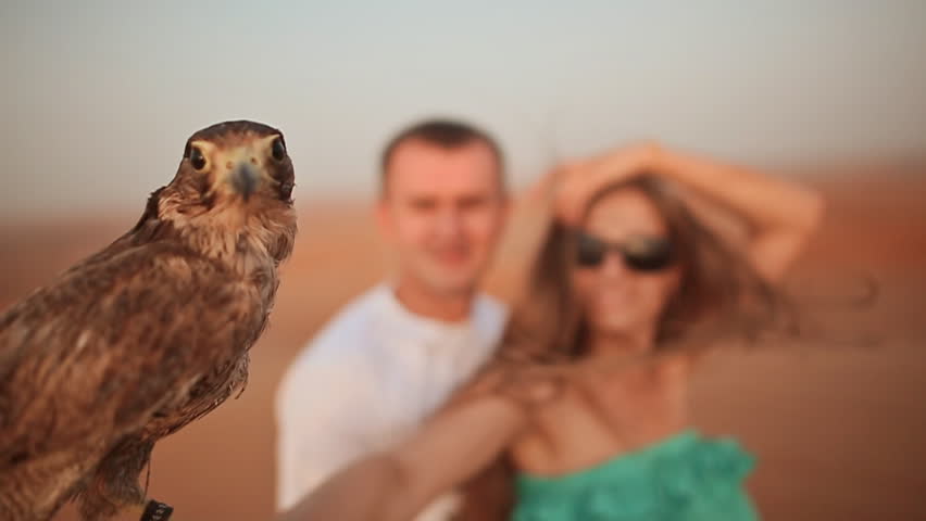 Girl and the guy keep on hand eagle. Slow motion.