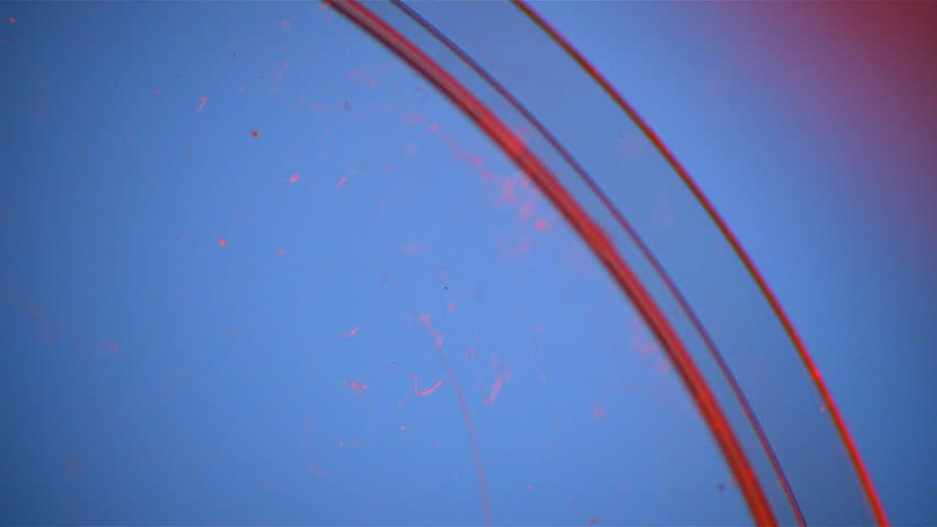 Dropper with red liquid in petri dish