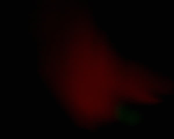 Rainbow wave of lights
