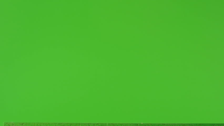 Black Cat jumping on green screen. Shot on RED EPIC DRAGON Cinema Camera in Slow Motion.