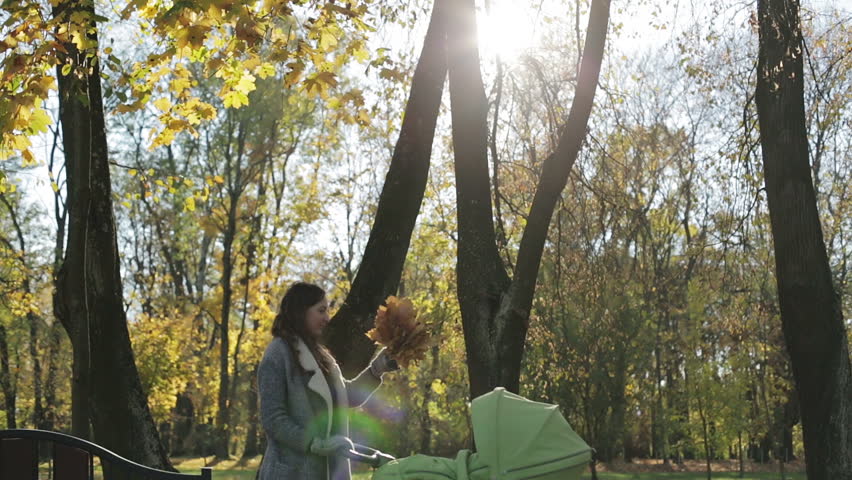 Brunette mom raising her hand up with a bunch of leaves and playing with the sun in the park. Green stroller standing next to her. Autumn background.