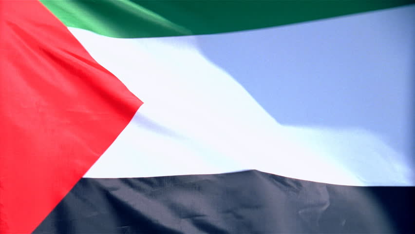 Closeup of Palestine flag