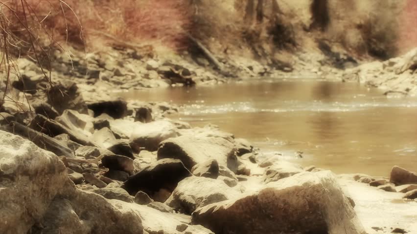 A beautiful mountain river in the spring