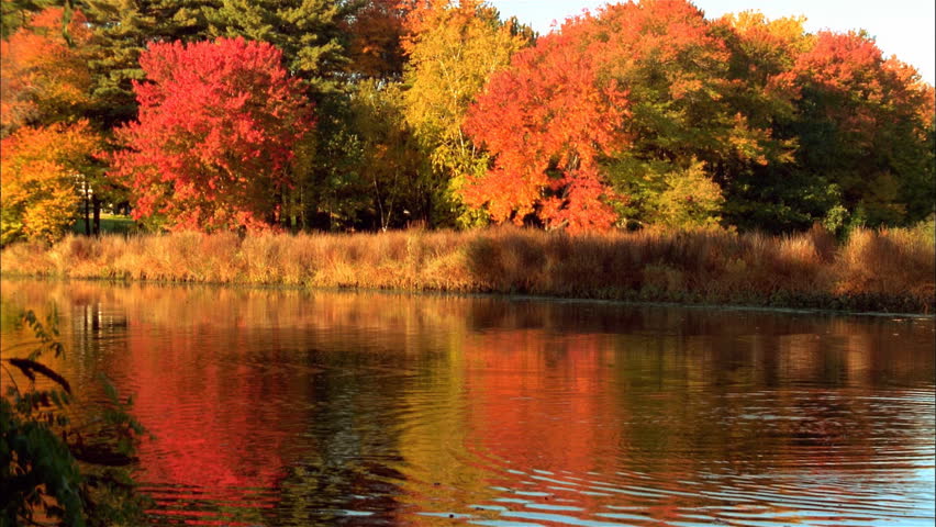 Rippling pond and fall season