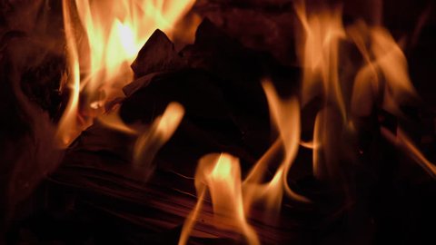 Burning Books In A Fireplace (French Language)