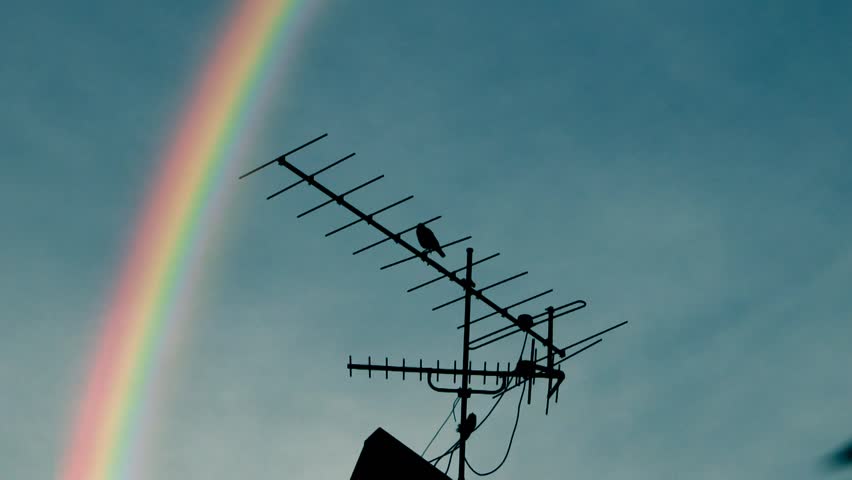 Rainbow, TV antenna and a crow.

