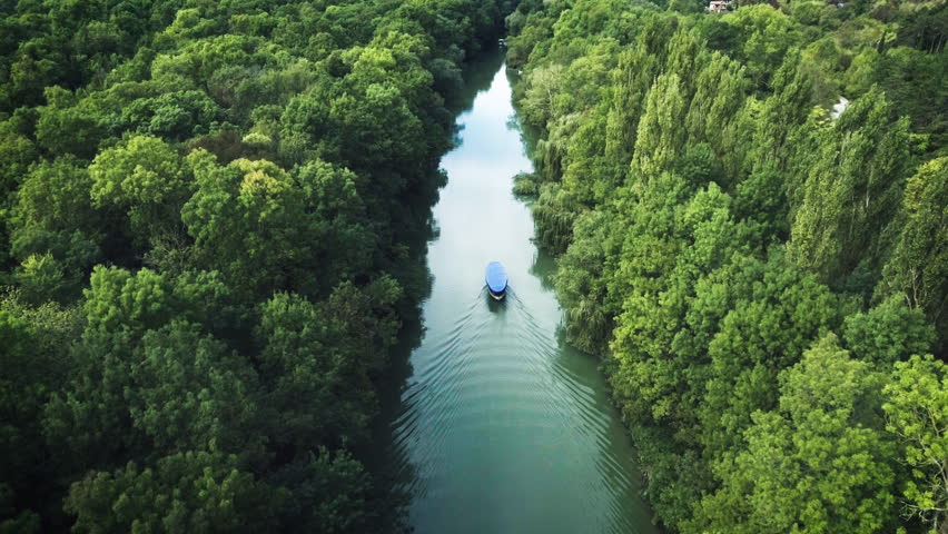 Sailing boat in the river. Tropical forest. Aerial landscape, video