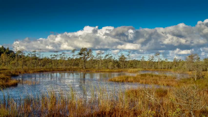 Time lapse movement of clouds over the marsh in autumn.