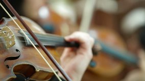 Playing Violin And Cello At Concert Or Reception 