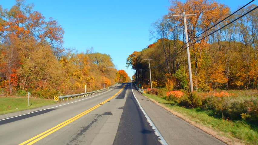 Driving through a foliage road