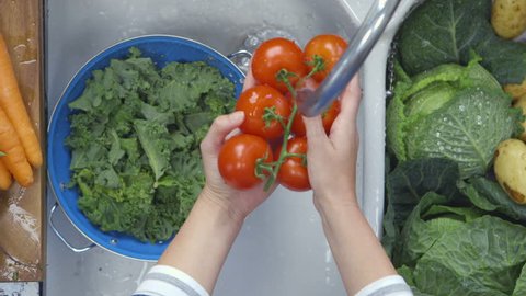 Directly above shot of woman's hands washing tomatoes under running water in sink. Close-up of fresh kale leaves are kept in colander. Female is preparing food in kitchen at home.