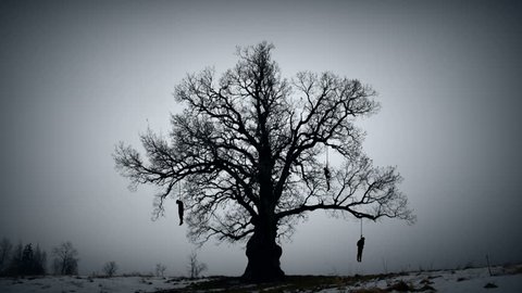 Gloomy hangman tree. Gallows on the old oak.