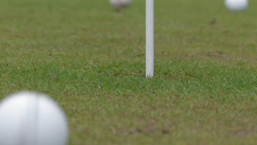 Golf - ball into cup 2 