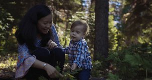Asian Mixed race mother and Son toddler in a forest looking at flowers together, 4k slow motion stock video clip