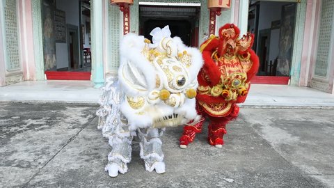 Lion dance show in the festival, Thailand.
 Stockvideo