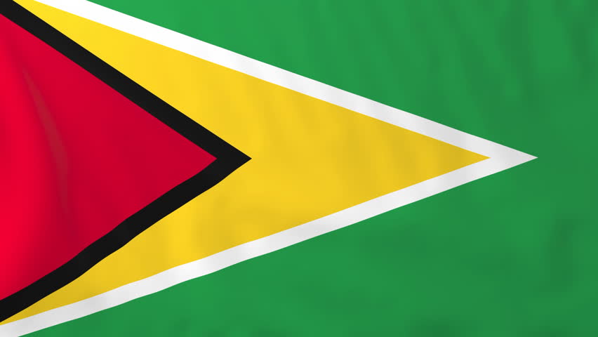 Флаг бело зеленый с красным треугольником. Флаг Guyana. Гайана флаг и герб. Кооперативная Республика Гайана флаг. Флаг зеленый желтый красный треугольник.