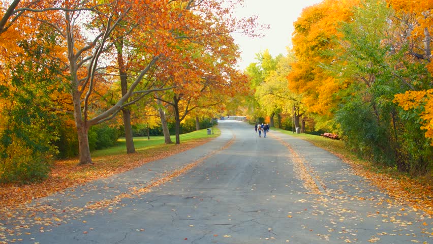 Niagara Falls Park New York motion video